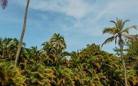 Solea Villa Tropical